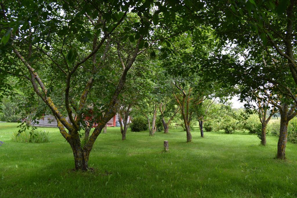 Готель Toomalouka Tourist Farm Екстер'єр фото