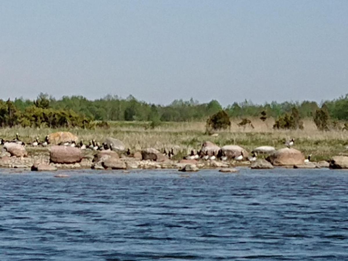 Готель Toomalouka Tourist Farm Екстер'єр фото